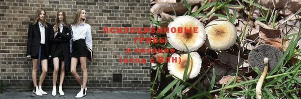 jwh Лиски