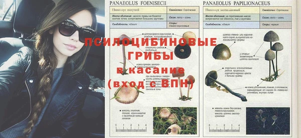 MESCALINE Абаза