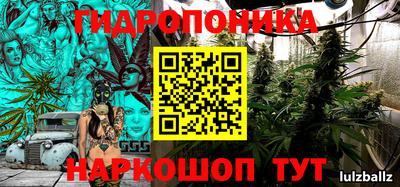 крисы Татарск