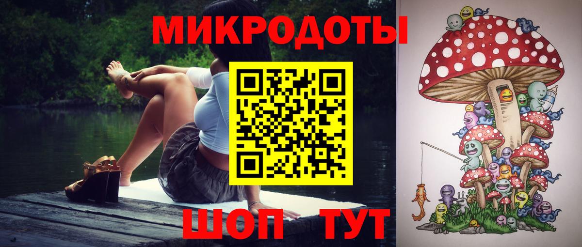 Псилоцибиновые грибы мухоморы Псков